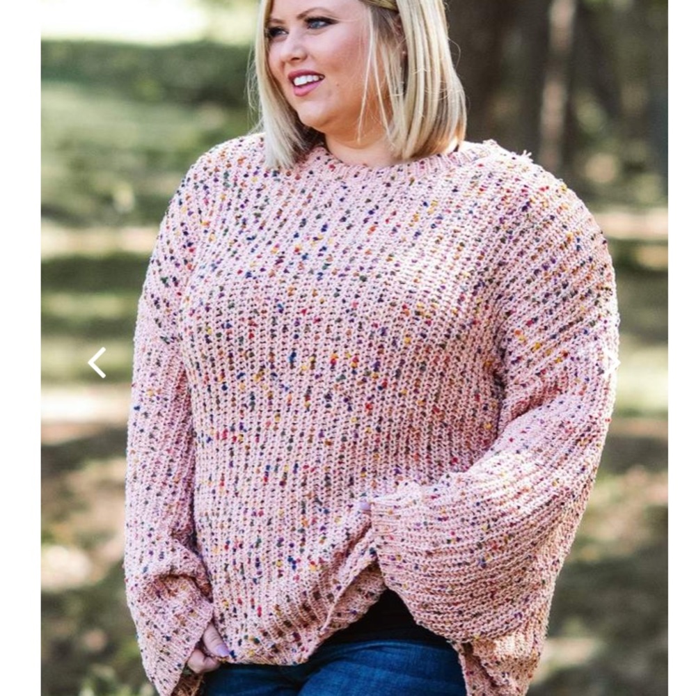 Sweet as pie curvy sweater